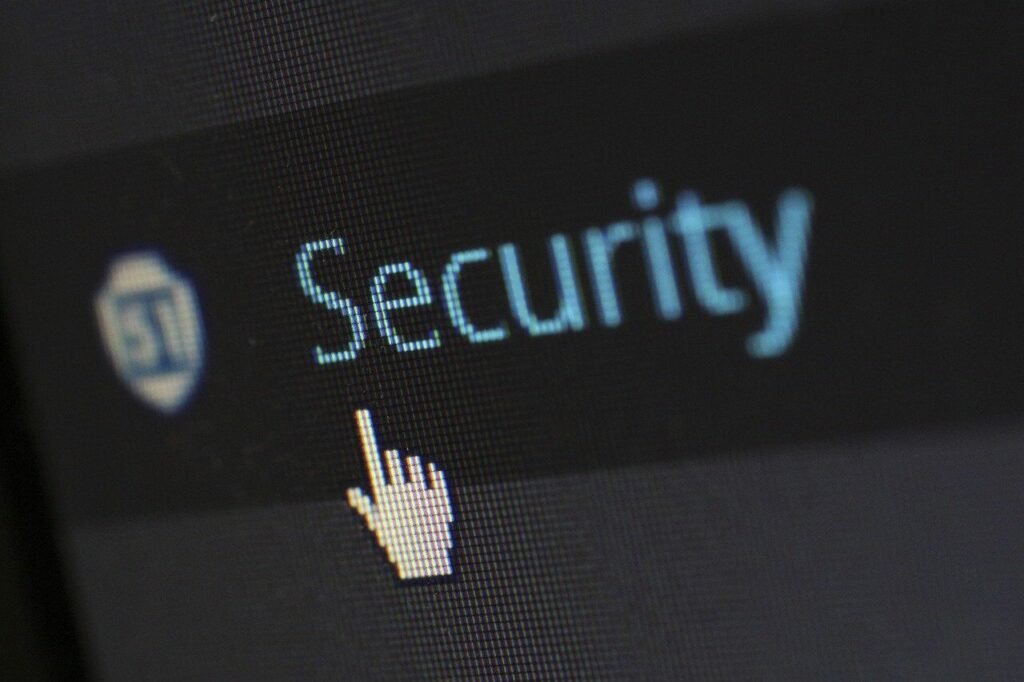 reasons to use WordPress-security