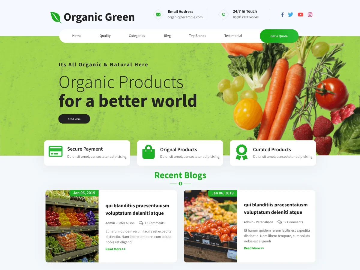 Organic Green Blocks